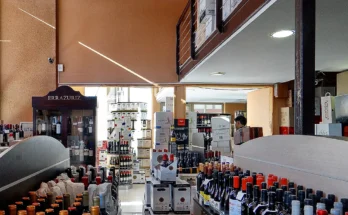 Cavas de Chicureo copia