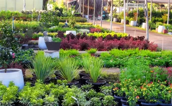 Jardin el palomar