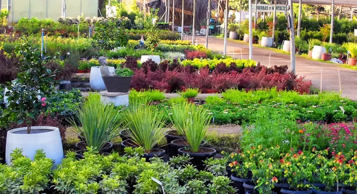 Jardin el palomar